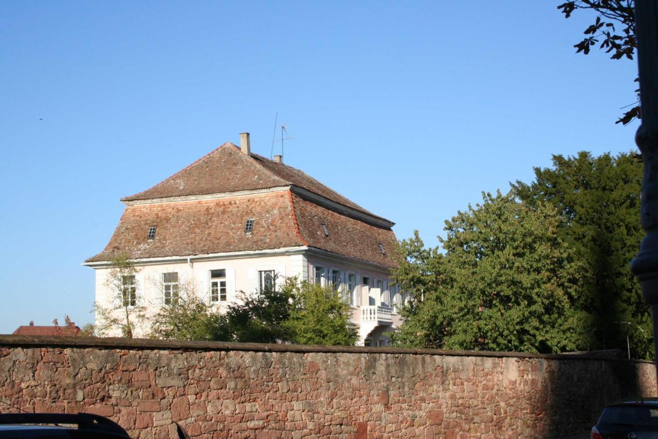 Ferienwohnung Spatzennest In Edesheim Extérieur photo